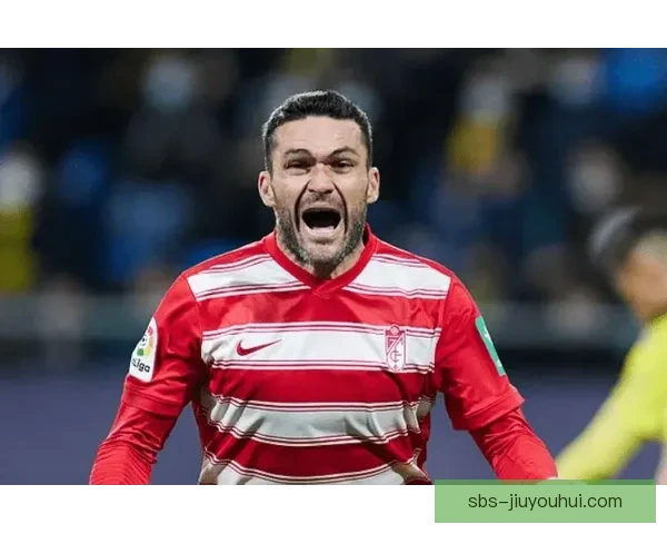 格拉纳达防线漏洞频出赛季战绩低迷最终无奈降级